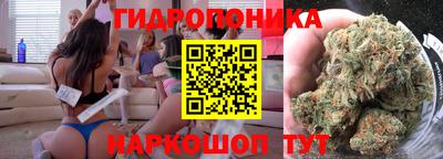стафф Тавда