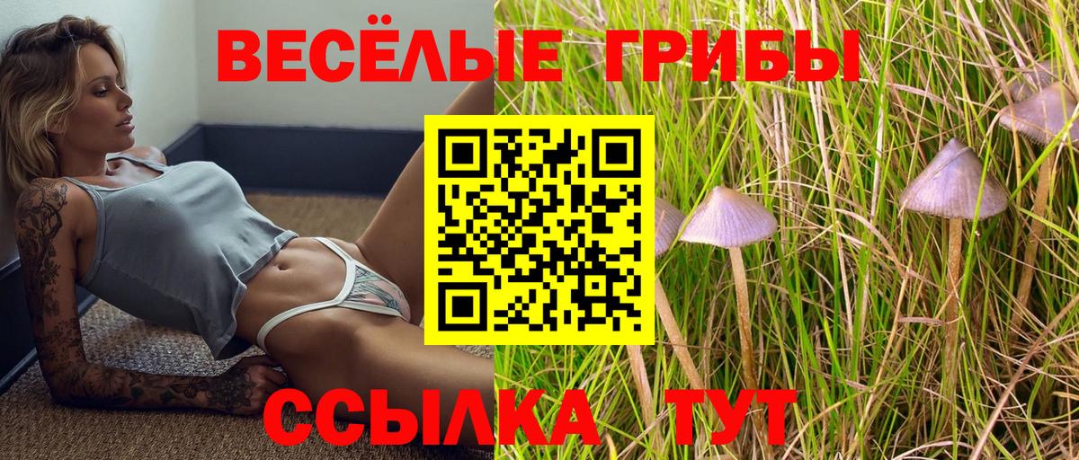 Выкса  Галлюциногенные грибы Psilocybine cubensis  Вход с VPN 