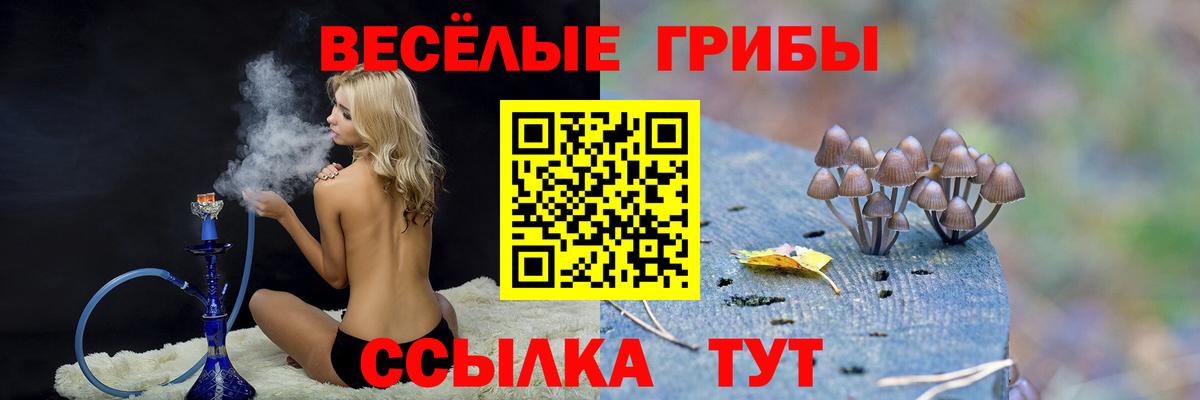 Псилоцибиновые грибы Psilocybe Выкса